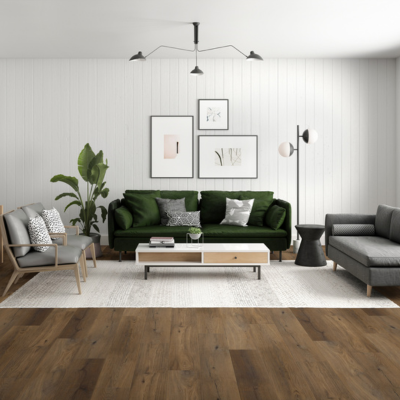 area rug in living room